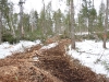 sentier.jpg