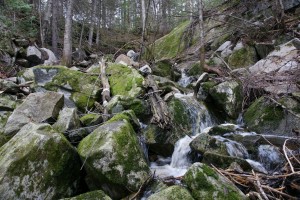 _dsc0774_low