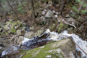 dsc00755_low