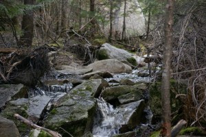 dsc00764_low