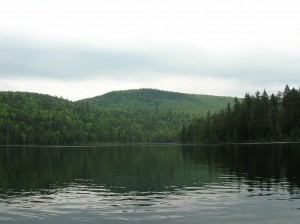 dscn6768